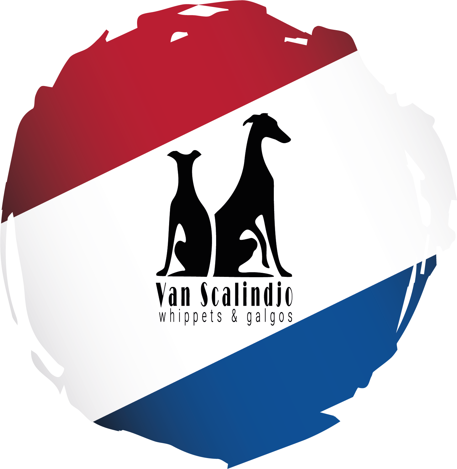 vanscalindjo.nl